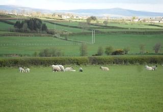 Valley View Country House Bed And Breakfast Bushmills Dış mekan fotoğraf